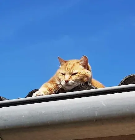 Les Box D'hotes 3* Lunan