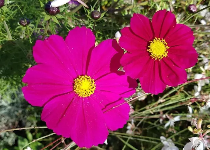 Les Box D'hôtes Casa de hóspedes Lunan
