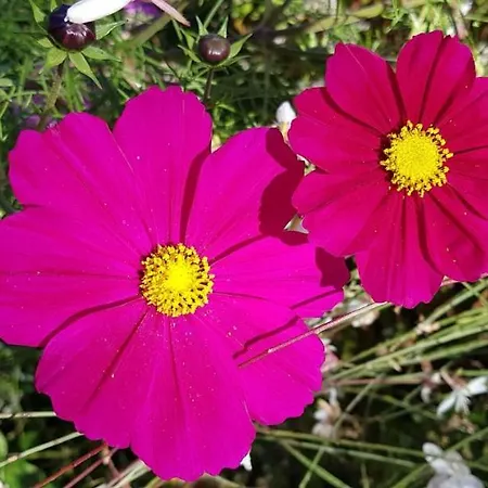 Les Box Maison d'hôtes Lunan